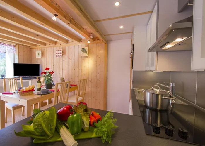 Grand Roc - Campanules 112 - Happy Appartement