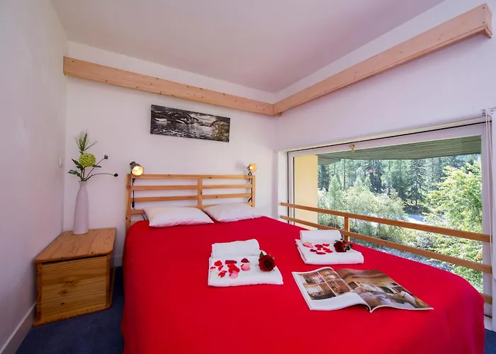 公寓 Grand Roc - Campanules 112 - Happy *