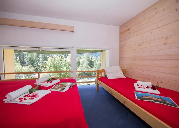 公寓 Grand Roc - Campanules 112 - Happy 霞慕尼